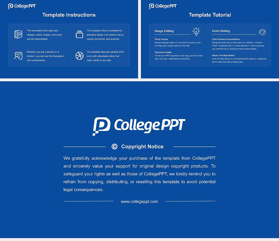 Dr. B. R. Ambedkar University Delhi Academic Presentation/Research Findings Report PPT Template16:9 ratio PPT effect preview image5