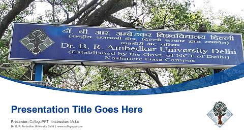 Dr. B. R. Ambedkar University Delhi Course/Courseware Creation PPT Template