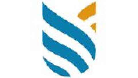 Medhavi Skills University