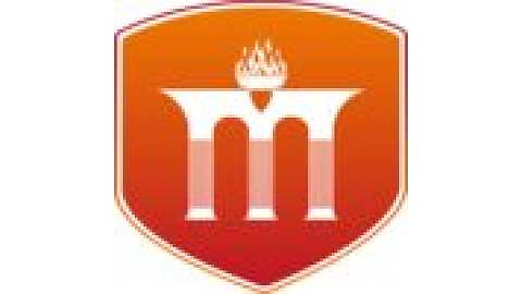 曼达索尔大学