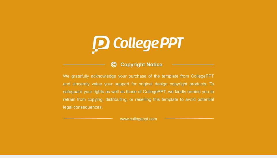 Medhavi Skills University Resume PPT Template16:9 ratio PPT effect preview image5