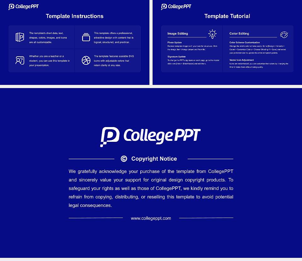 Maharaja Surajmal Brij University Course/Courseware Creation PPT Template16:9 ratio PPT effect preview image5
