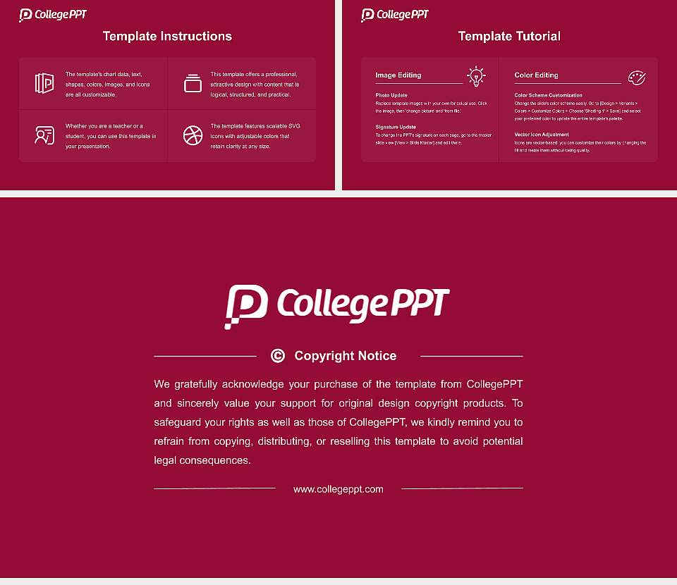 Mewar University Course/Courseware Creation PPT Template16:9 ratio PPT effect preview image5