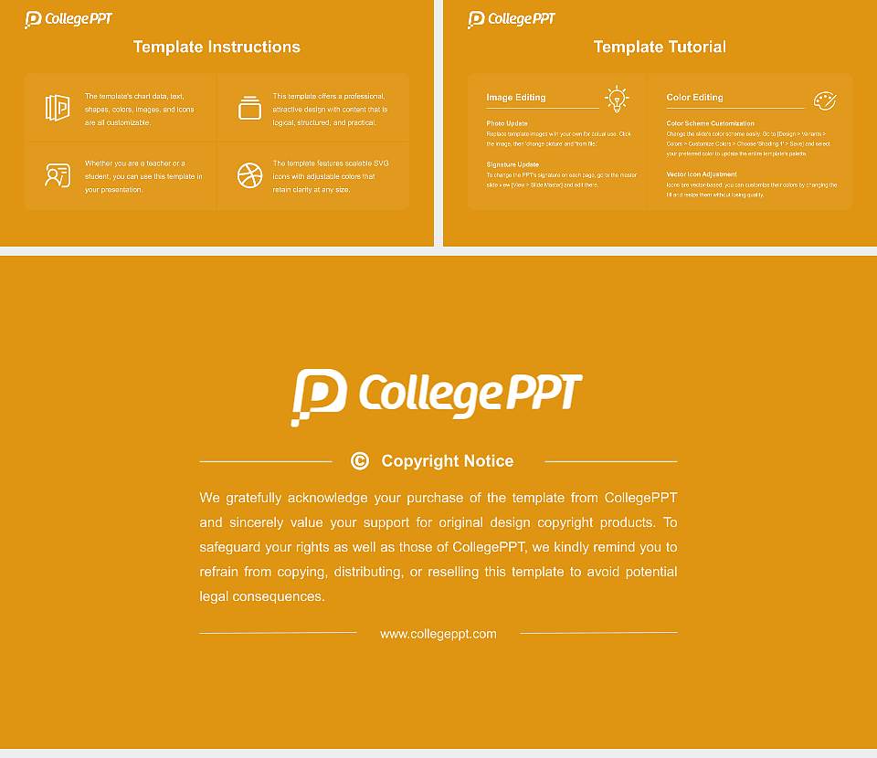 Medhavi Skills University Course/Courseware Creation PPT Template16:9 ratio PPT effect preview image5