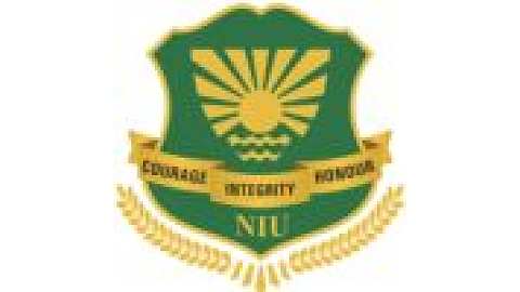 Noida International University