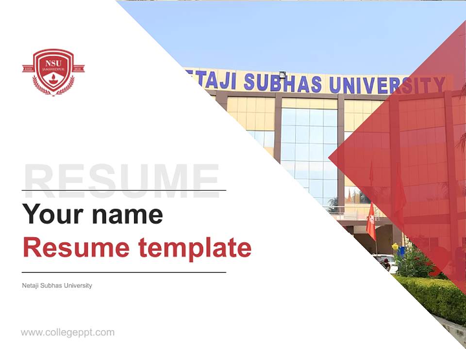 Netaji Subhas University Resume PPT Template4:3 ratio PPT effect preview image5