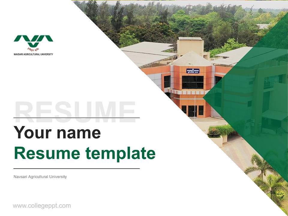 Navsari Agricultural University Resume PPT Template4:3 ratio PPT effect preview image5