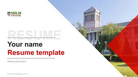 NIILM University Kaithal Resume PPT Template