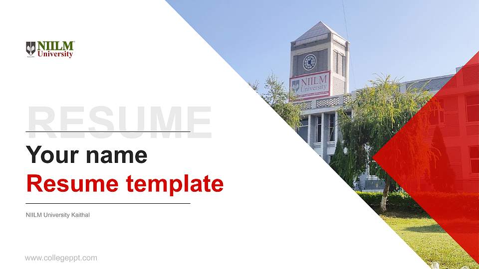 NIILM University Kaithal Resume PPT Template16:9 ratio PPT effect preview image