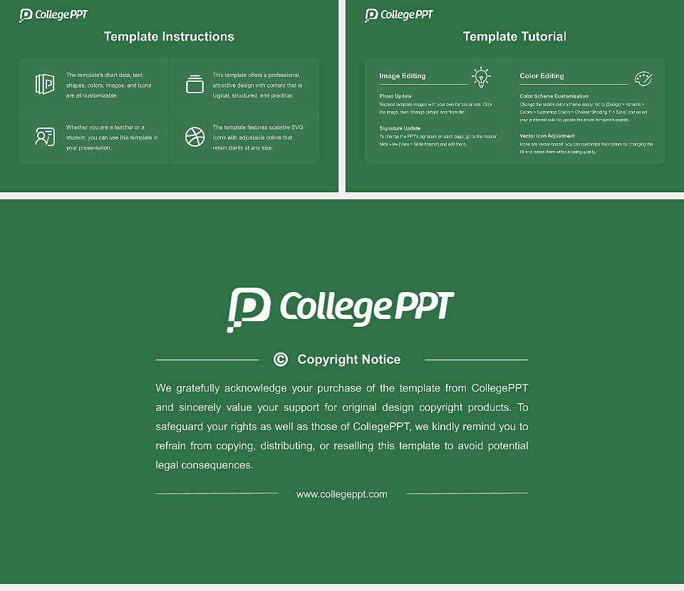 Noida International University Course/Courseware Creation PPT Template16:9 ratio PPT effect preview image5