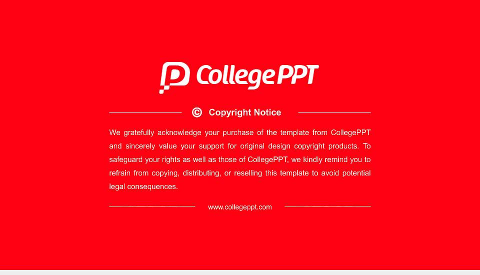 Panjab University Resume PPT Template16:9 ratio PPT effect preview image5