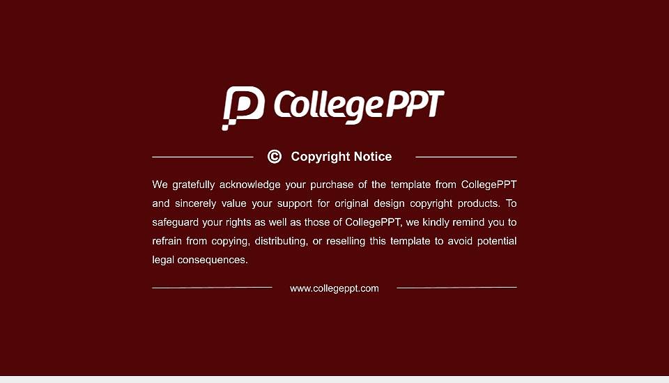 Patna University Resume PPT Template16:9 ratio PPT effect preview image5