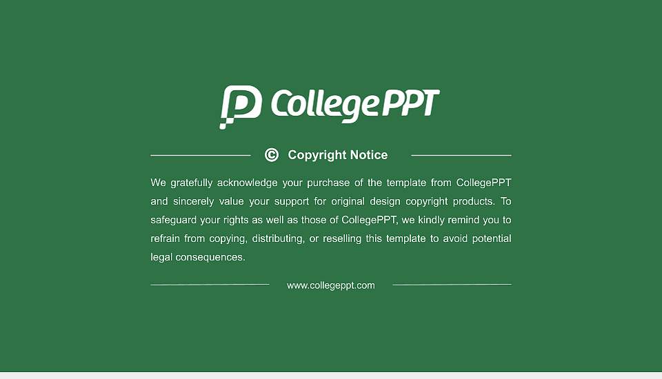 Noida International University Resume PPT Template16:9 ratio PPT effect preview image5