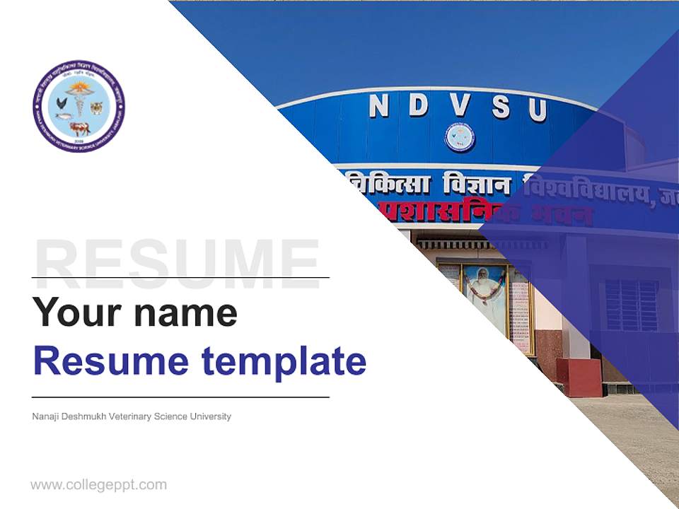 Nanaji Deshmukh Veterinary Science University Resume PPT Template4:3 ratio PPT effect preview image5