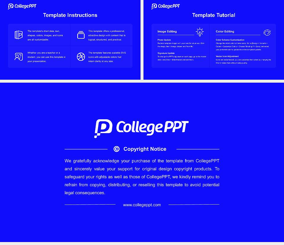 Netaji Subhash Open University Course/Courseware Creation PPT Template16:9 ratio PPT effect preview image5