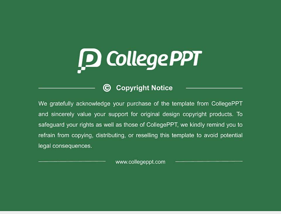 Noida International University Resume PPT Template4:3 ratio PPT effect preview image5