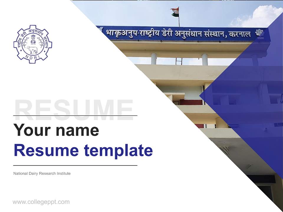 National Dairy Research Institute Resume PPT Template4:3 ratio PPT effect preview image5