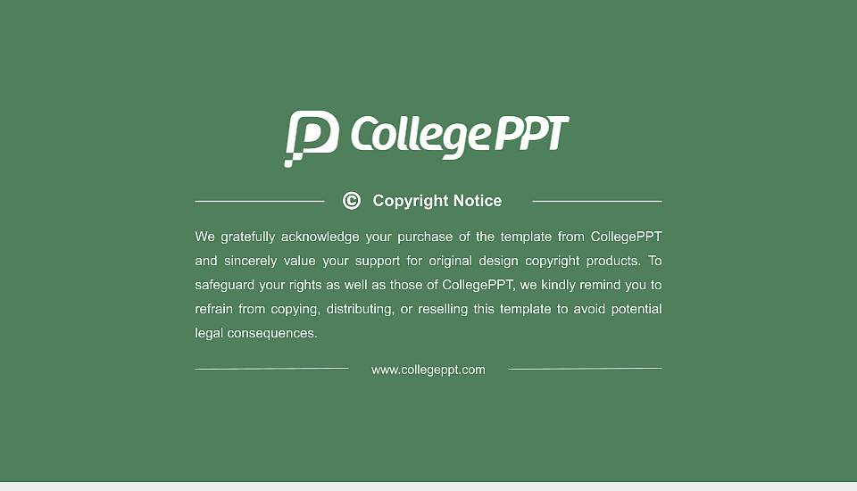 Nagaland University Resume PPT Template16:9 ratio PPT effect preview image5