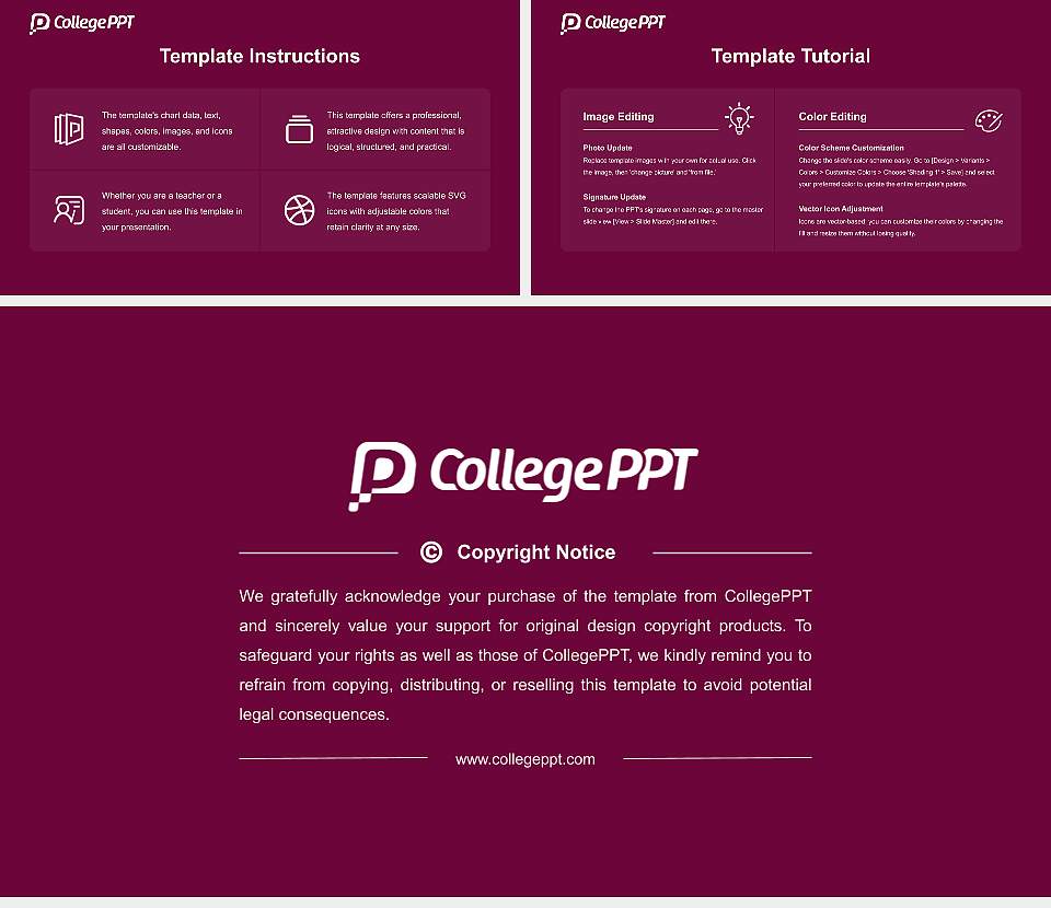 Shridhar University Course/Courseware Creation PPT Template16:9 ratio PPT effect preview image5