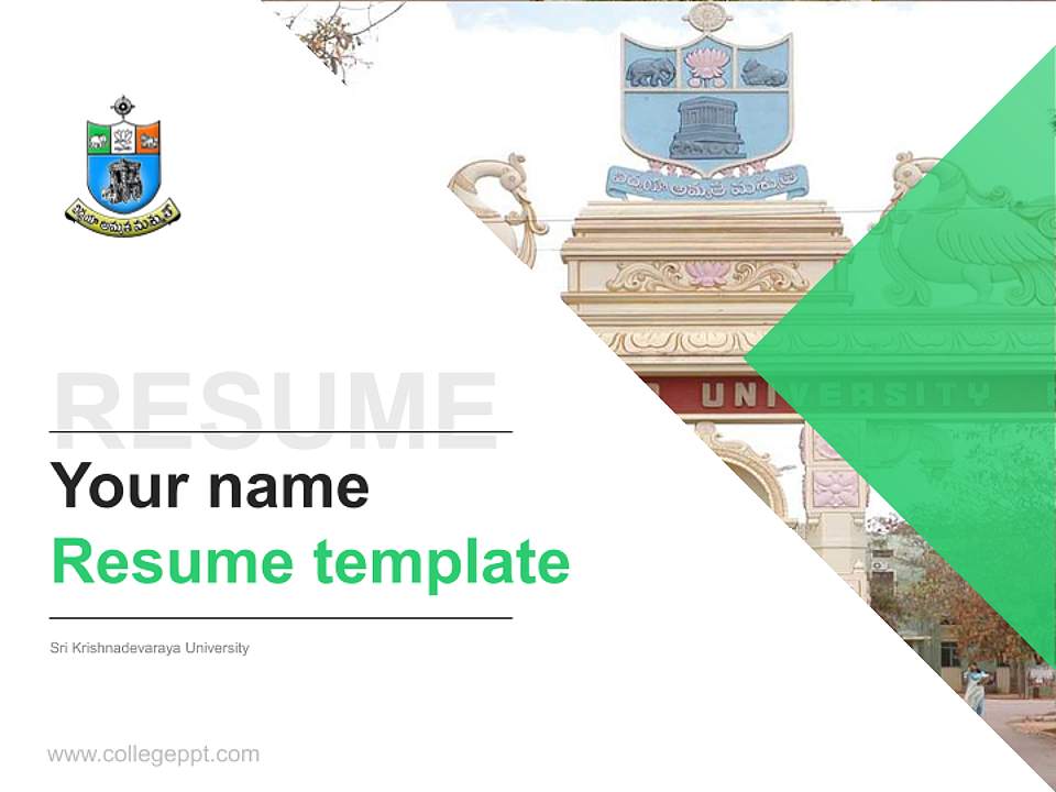 Sri Krishnadevaraya University Resume PPT Template4:3 ratio PPT effect preview image5