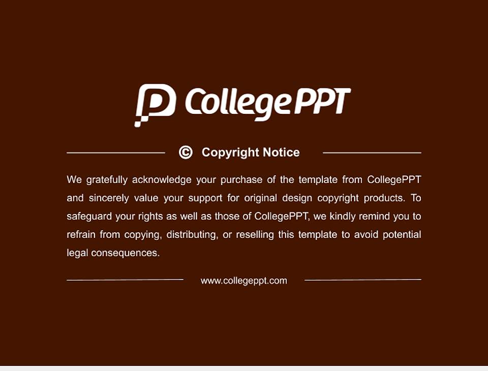 Sindhu Central University Resume PPT Template4:3 ratio PPT effect preview image5