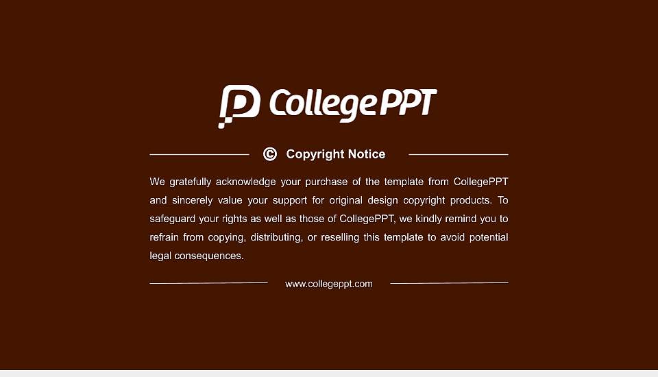 Sindhu Central University Resume PPT Template16:9 ratio PPT effect preview image5