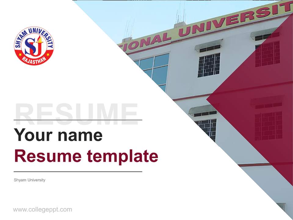 Shyam University Resume PPT Template4:3 ratio PPT effect preview image5
