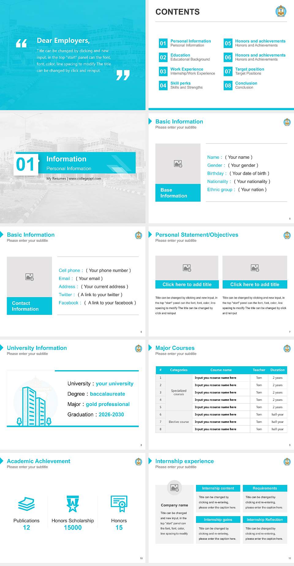 Sri Balaji Vidyapeeth Resume PPT Template4:3 ratio PPT effect preview image2