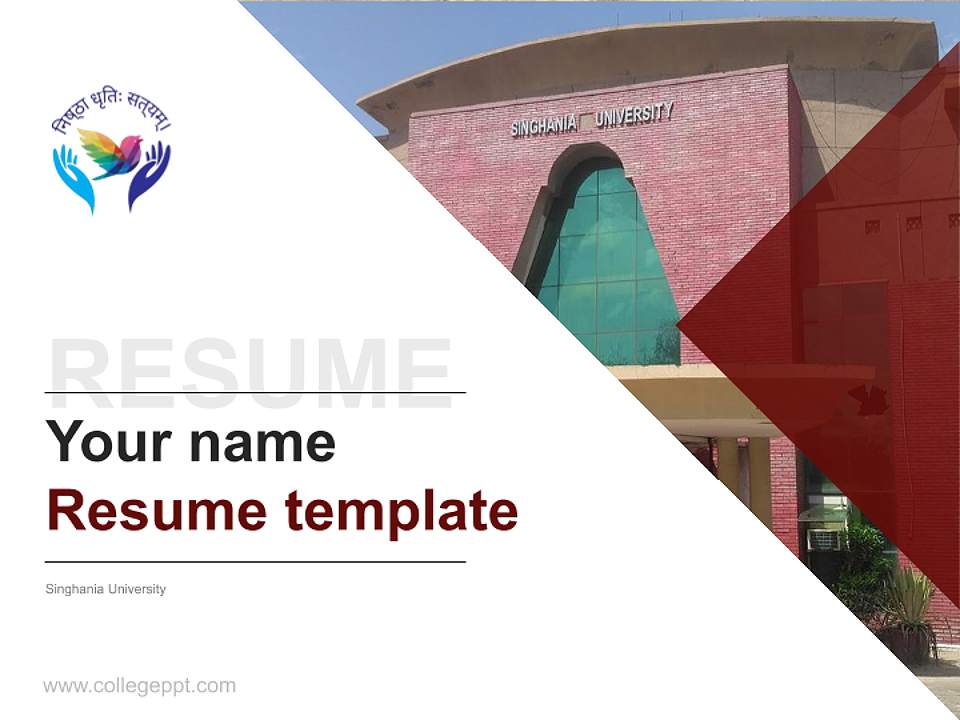 Singhania University Resume PPT Template4:3 ratio PPT effect preview image5