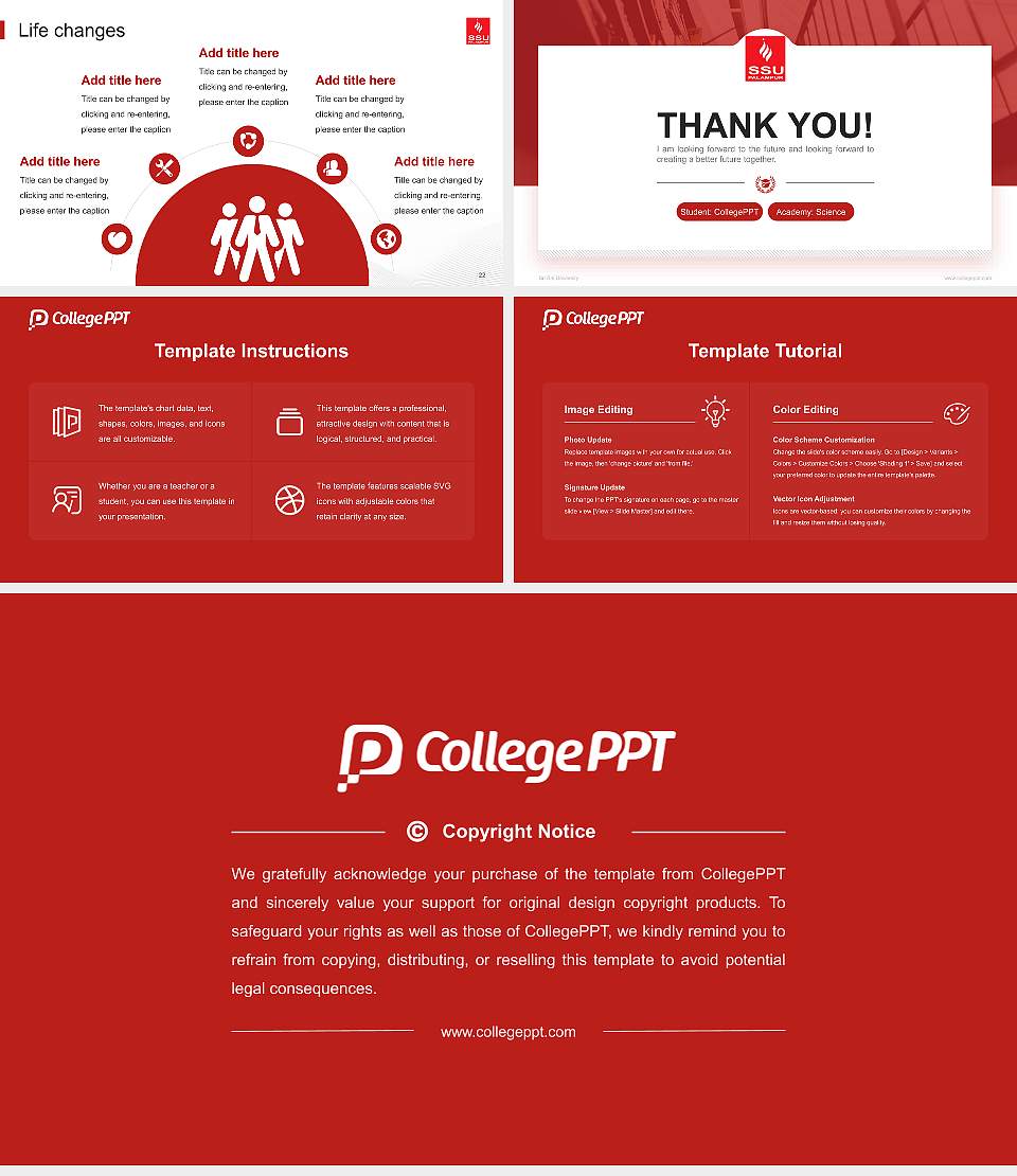 Sri Sai University National Scholarship Defense PPT Template16:9 ratio PPT effect preview image4