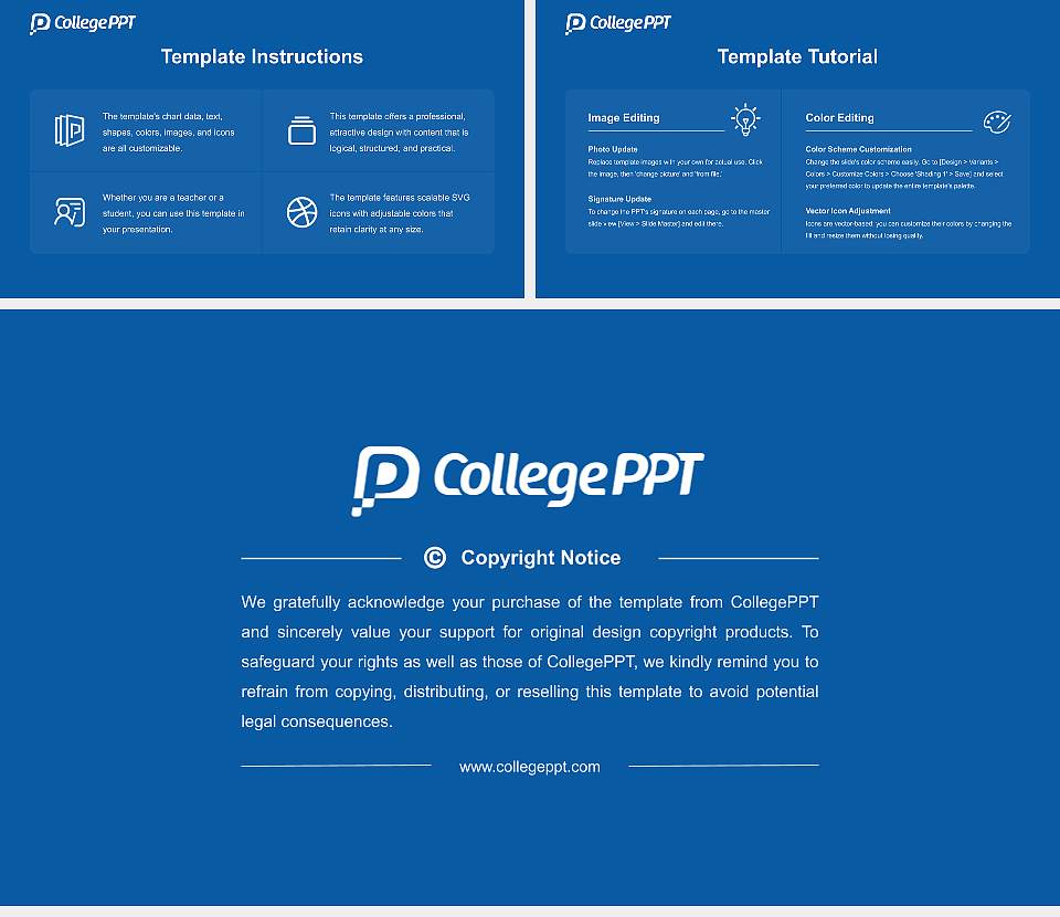 South Asian University Academic Presentation/Research Findings Report PPT Template16:9 ratio PPT effect preview image5
