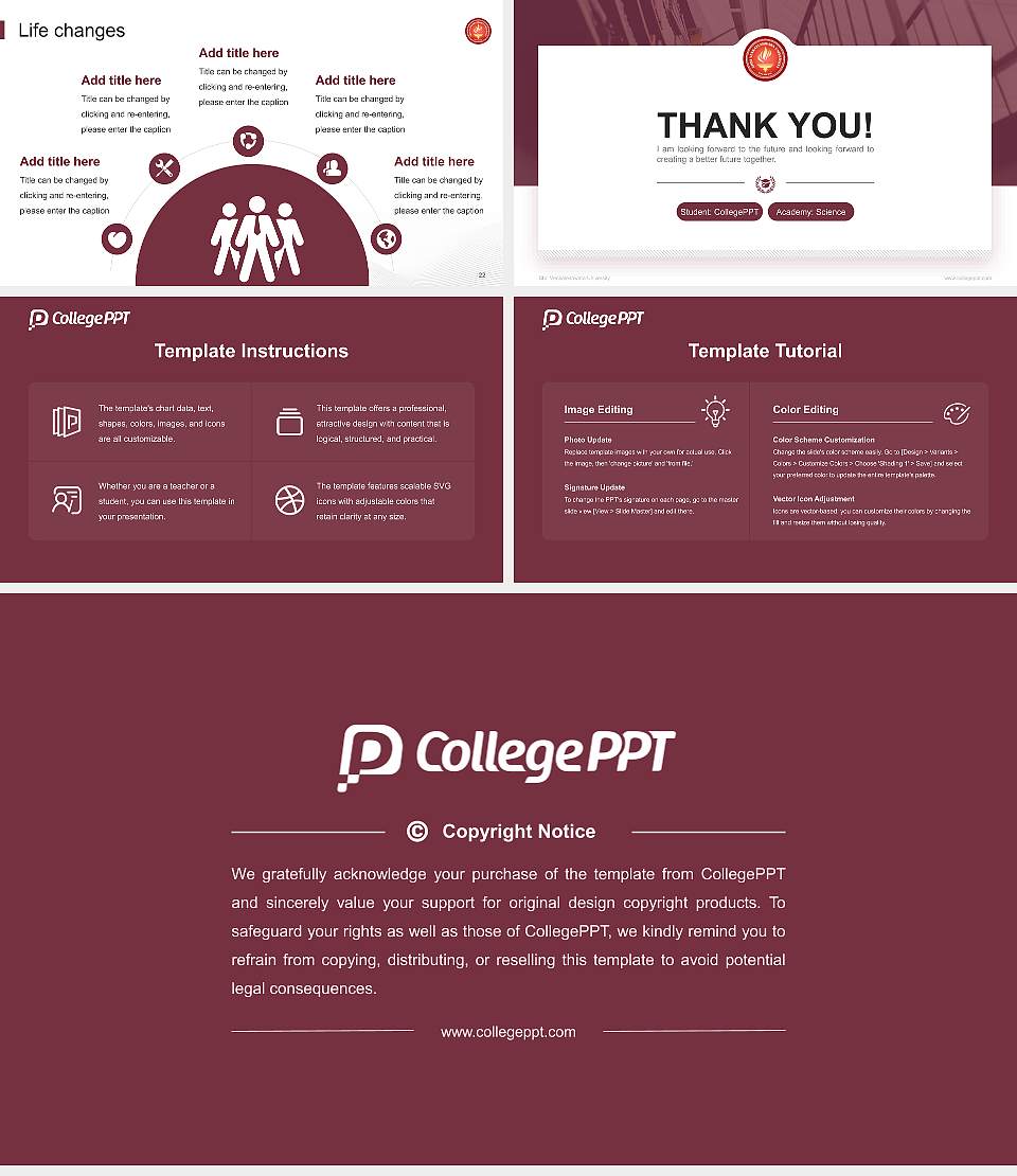 Shri Venkateshwara University National Scholarship Defense PPT Template16:9 ratio PPT effect preview image4