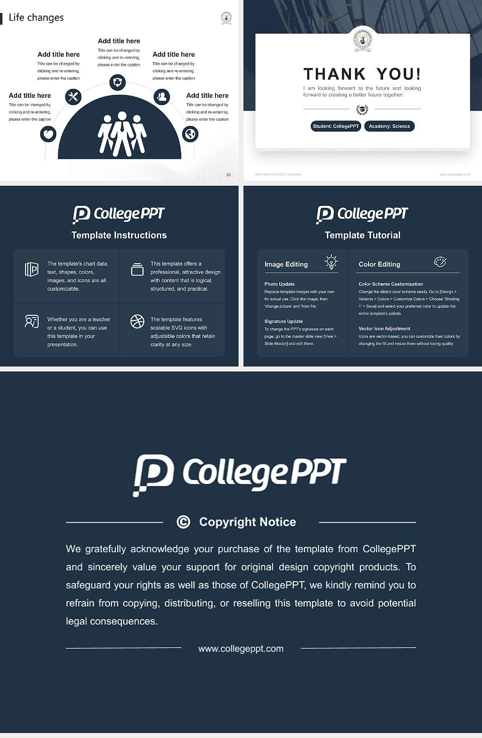 Shri Krishna AYUSH University National Scholarship Defense PPT Template4:3 ratio PPT effect preview image4