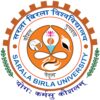 Sarala Birla University