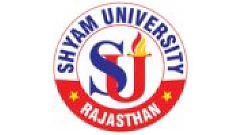 Shyam University