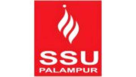 Sri Sai University