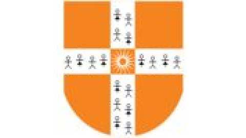 Rai University