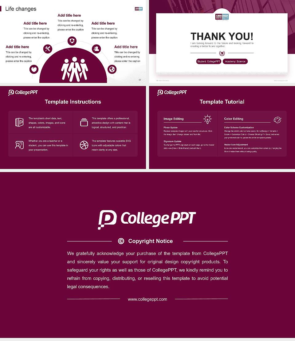 Shridhar University National Scholarship Defense PPT Template16:9 ratio PPT effect preview image4