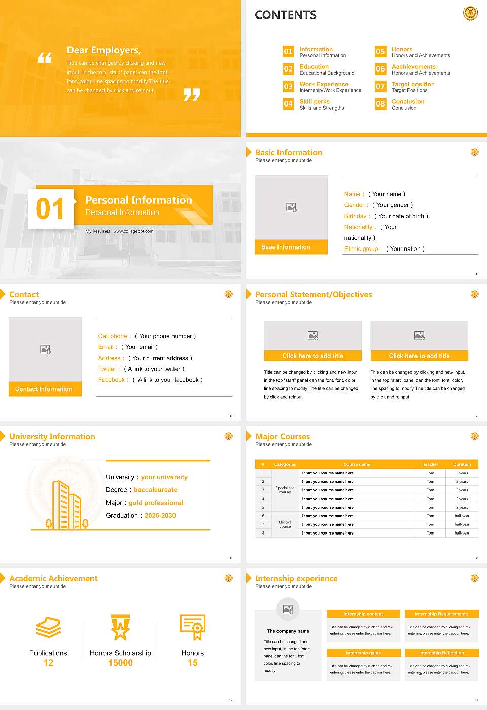 Sant Gadge Baba Amravati University Resume PPT Template16:9 ratio PPT effect preview image2