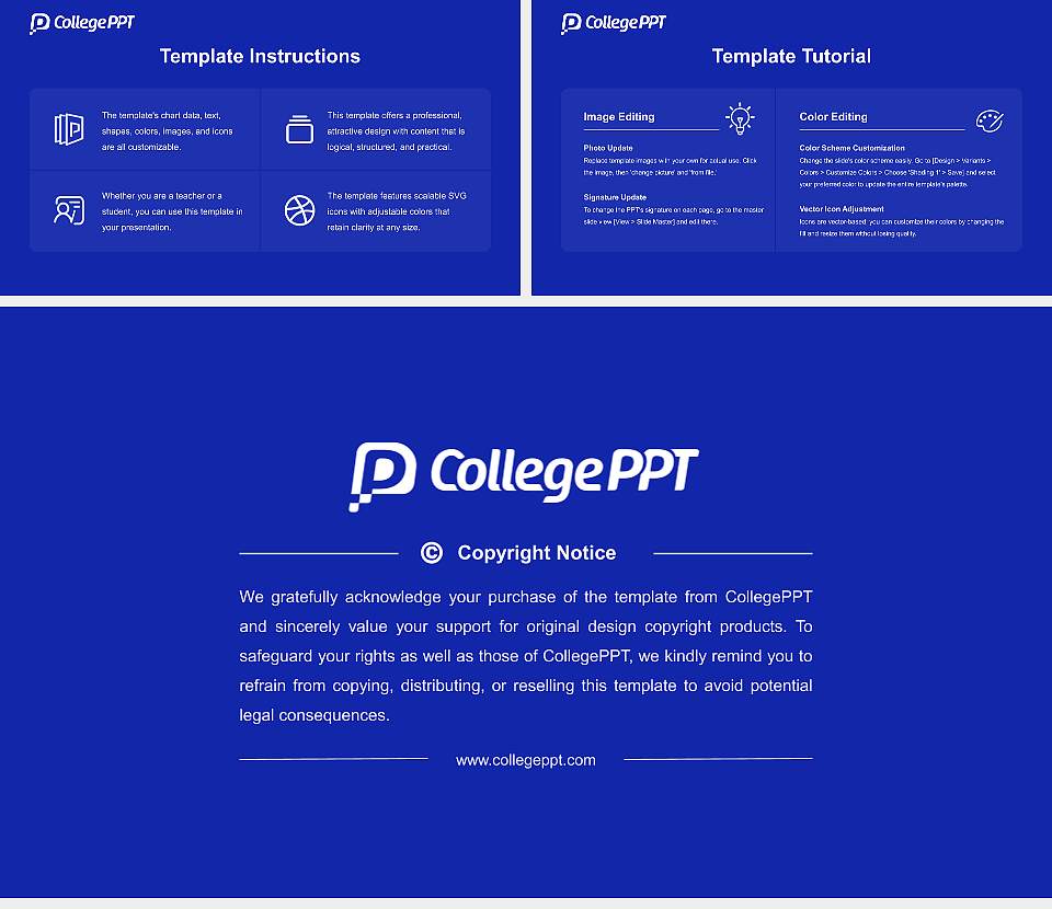 Sai University Academic Presentation/Research Findings Report PPT Template16:9 ratio PPT effect preview image5