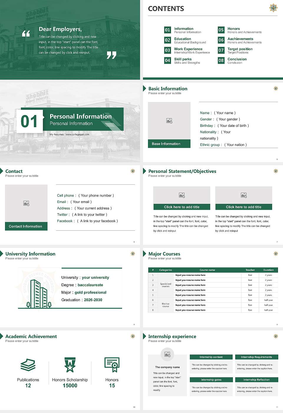 Shobhit Institute of Engineering & Technology Resume PPT Template16:9 ratio PPT effect preview image2