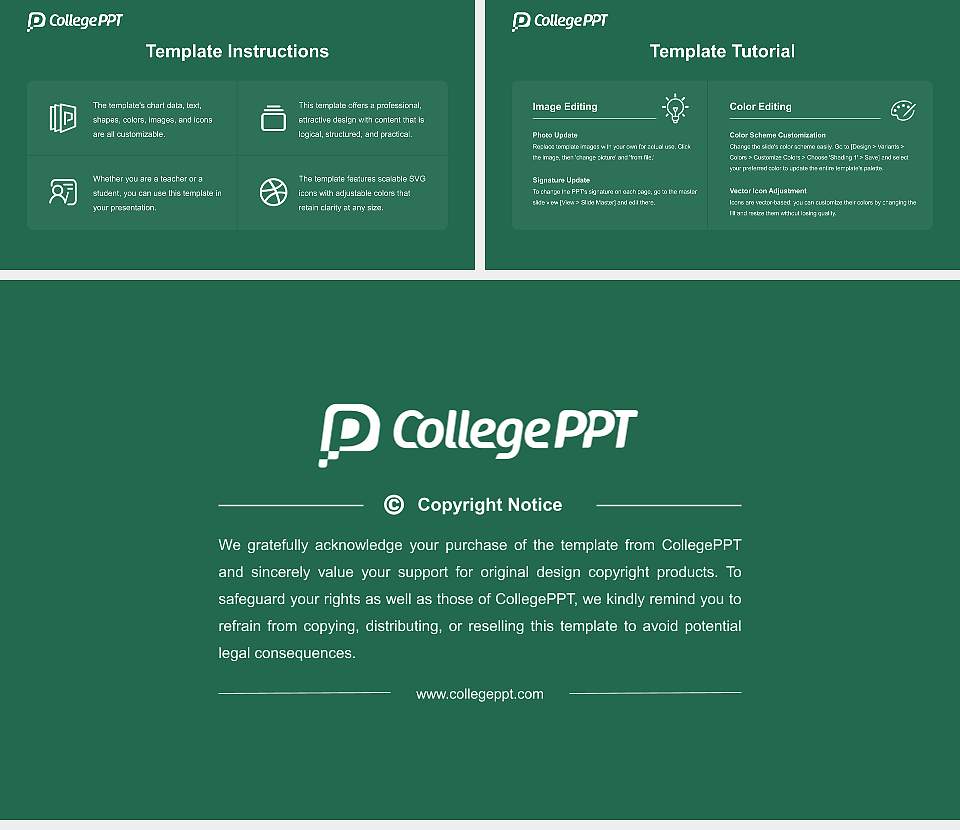 Shobhit University Course/Courseware Creation PPT Template16:9 ratio PPT effect preview image5