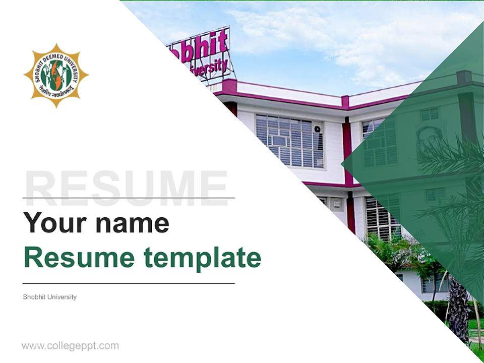 Shobhit University Resume PPT Template4:3 ratio PPT effect preview image5