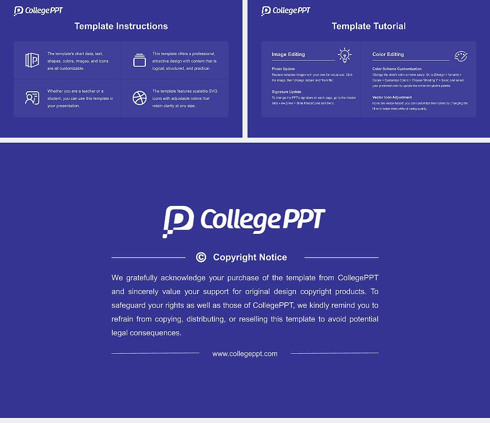 Sai Nath University Academic Presentation/Research Findings Report PPT Template16:9 ratio PPT effect preview image5