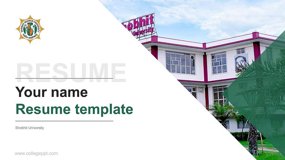 Shobhit University Resume PPT Template16:9 ratio PPT effect preview image
