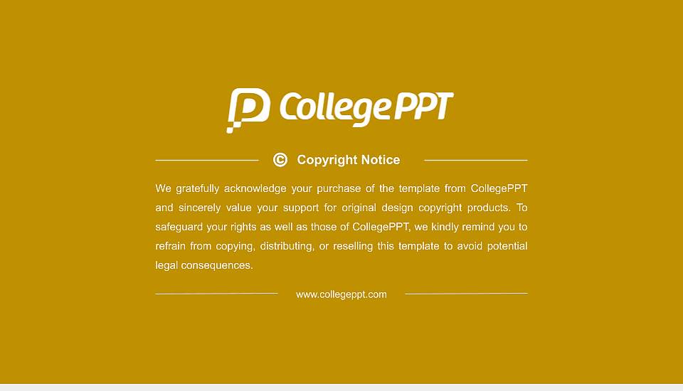 Seacom Skills University Resume PPT Template16:9 ratio PPT effect preview image5