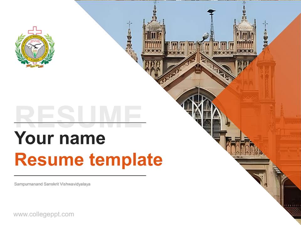 Sampurnanand Sanskrit Vishwavidyalaya Resume PPT Template4:3 ratio PPT effect preview image5