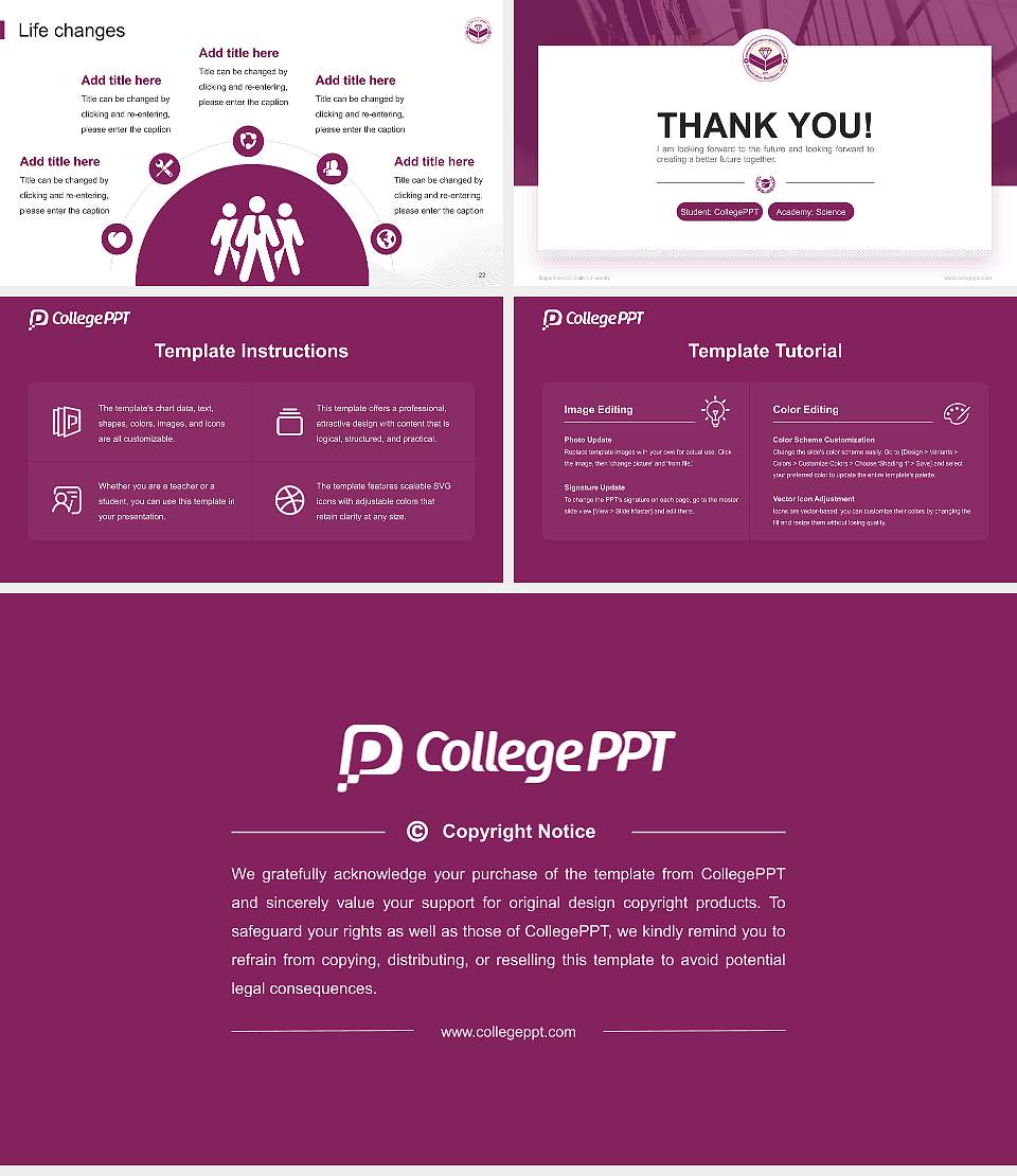 Rajasthan ILD Skills University National Scholarship Defense PPT Template16:9 ratio PPT effect preview image4