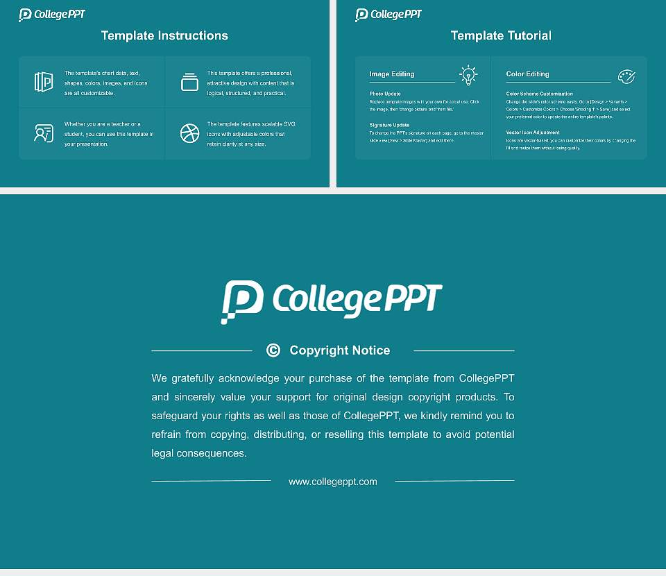Punjab Engineering College Course/Courseware Creation PPT Template16:9 ratio PPT effect preview image5