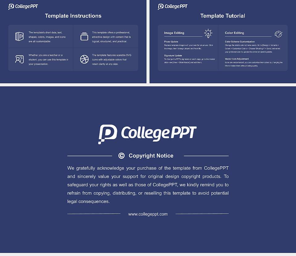 R.N.B. Global University Course/Courseware Creation PPT Template16:9 ratio PPT effect preview image5